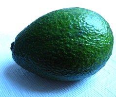 Avocado