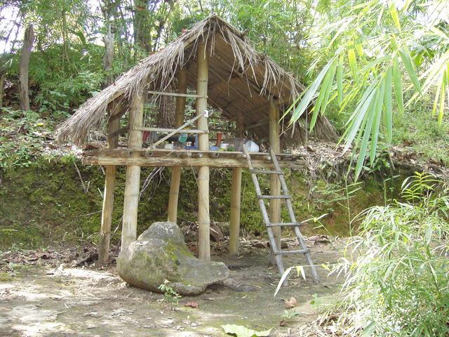 bamboo hut - free image
