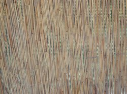 bamboo wall