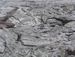 barren lava field
