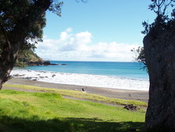 beach in new zealand