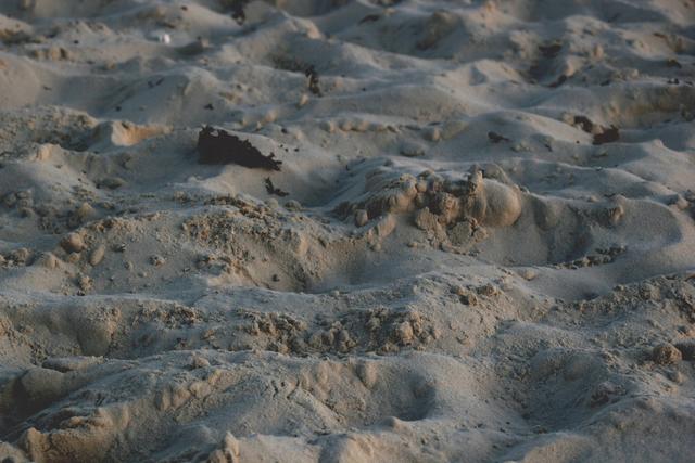 Beach sand - free image