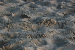 Beach sand