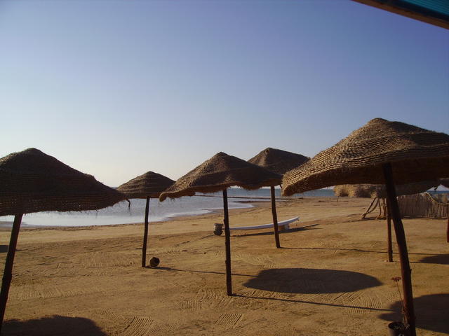 Beach with umbrellas - free image