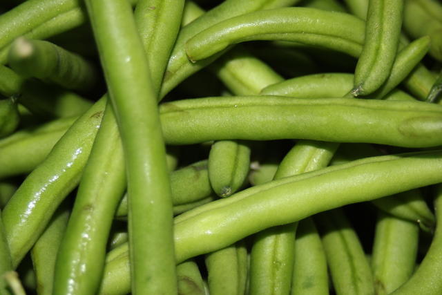 Beans - free image