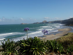 beautiful beach and coastline