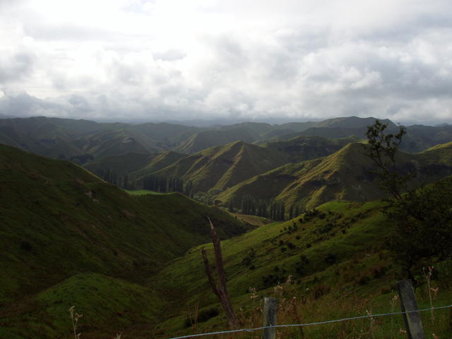 Beautiful green valley - free image