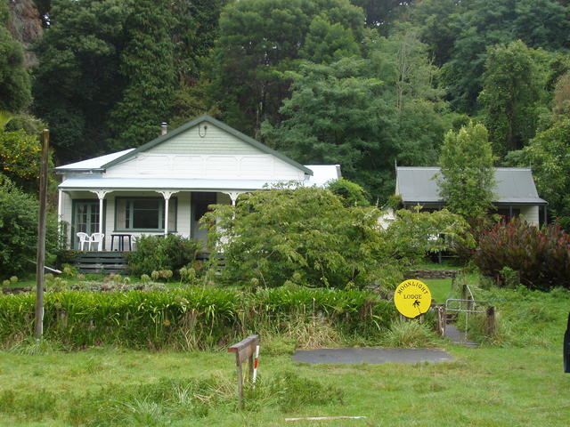 Beautiful Home with Plants - free image