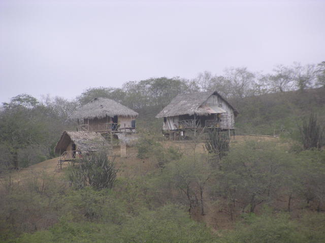 beautiful huts - free image