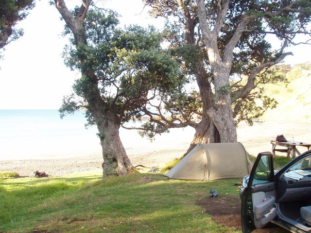 Beautiful picnic spot - free image