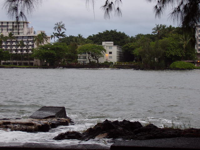 Beautiful River With Trees - free image