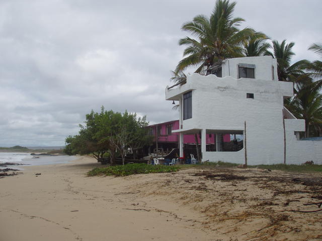 Beautiful sea shore houses - free image