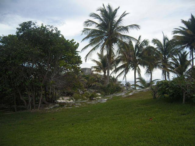 beautiful Tulum beach - free image