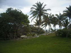 beautiful Tulum beach