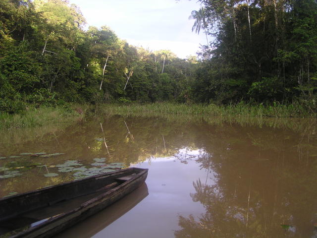 beautiful view of river - free image