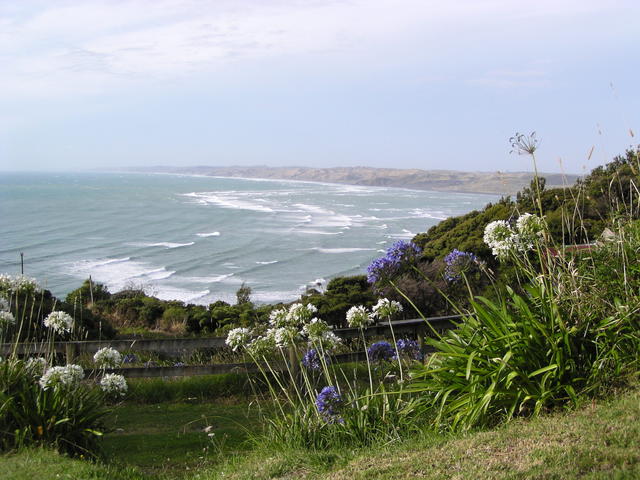 beautiful view of sea shore - free image