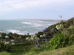 beautiful view of sea shore