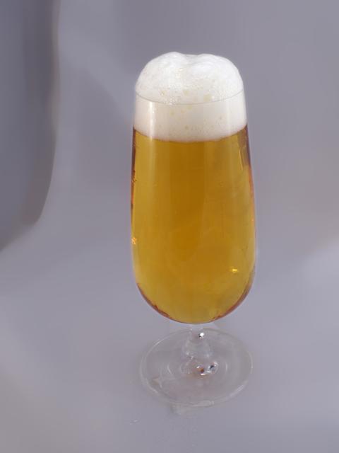 Beer - free image