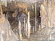 Big stalagmites