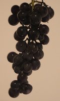 Black grapes