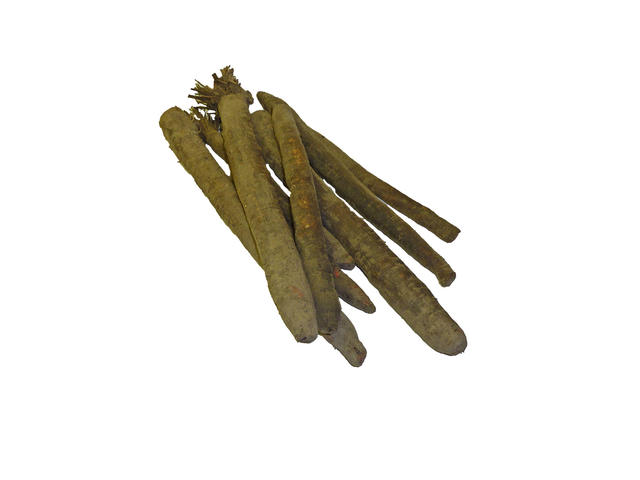 Black salsify - free image