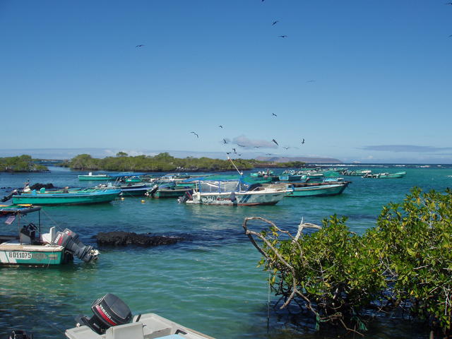 blue-green boats - free image