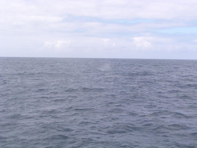 Blue Sea - free image