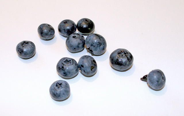 blueberries - free image