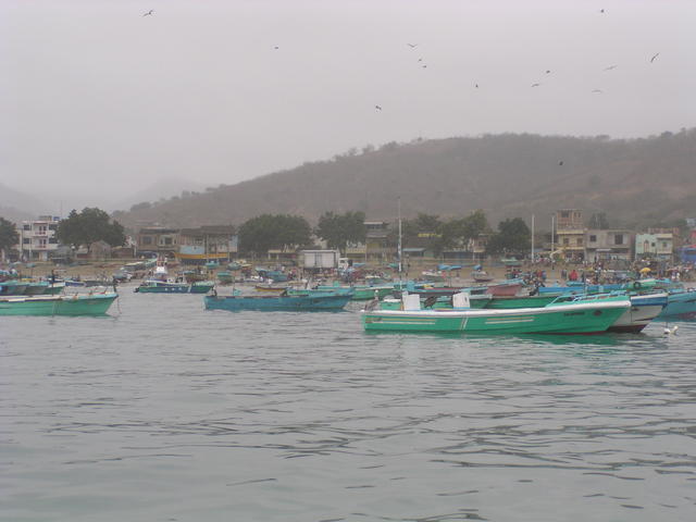 Boats in harbour - free image