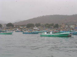 Boats in harbour