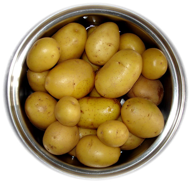 boiling potatoes - free image