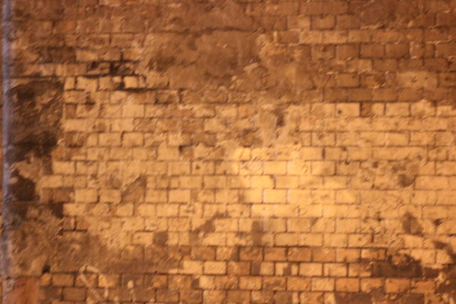 brick wall - free image