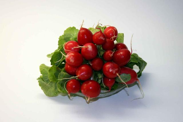 Bright red radishes - free image