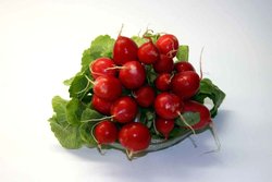 Bright red radishes