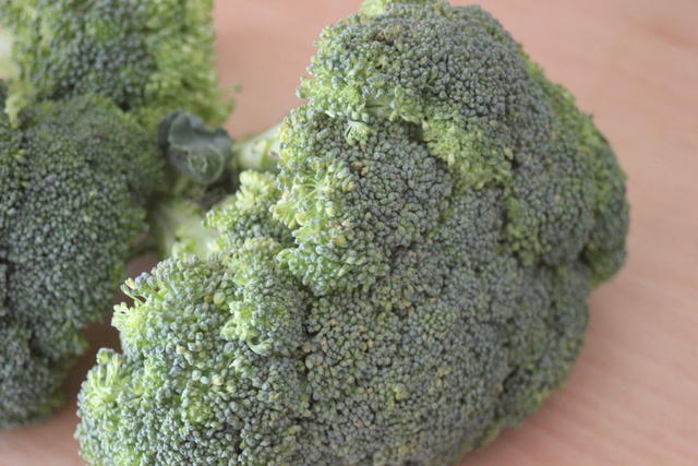 broccoli - free image