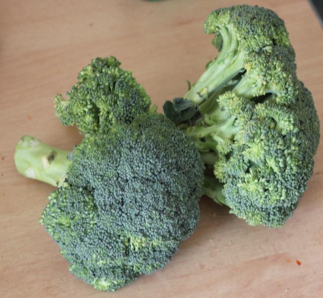 Broccoli - free image