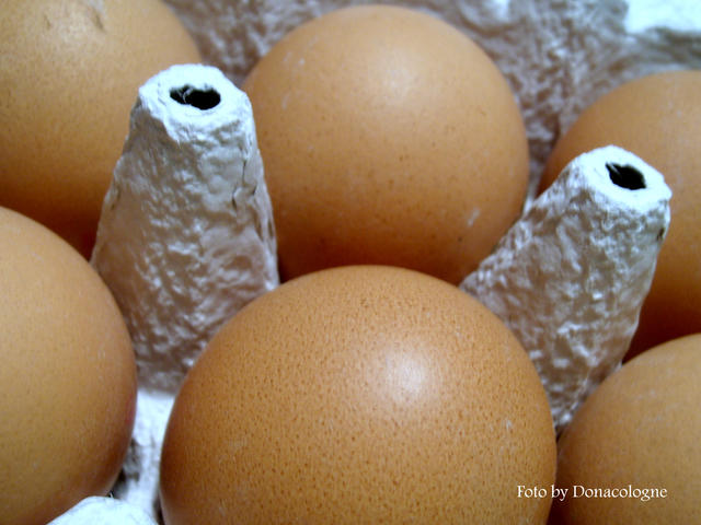 brown colored eggs - free image
