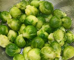 Brussels sprouts