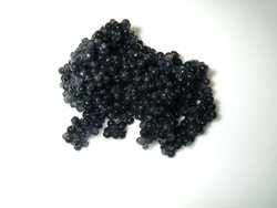 caviar