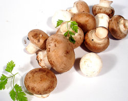 champignons