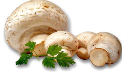 Champignons