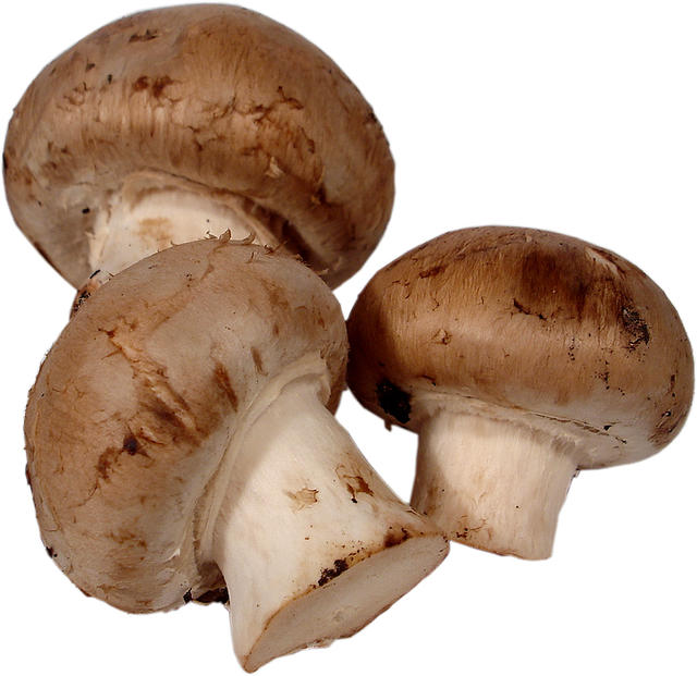 Champignons - free image