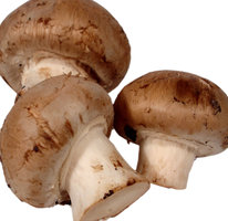 Champignons