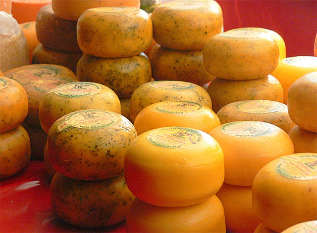 cheese of different varity - free image
