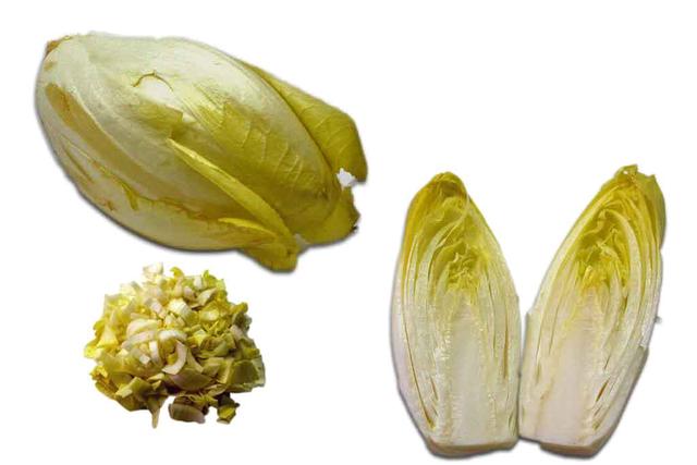 Chicory - free image