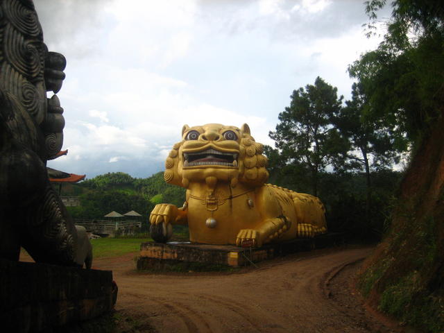 Chinese Golden Dragon - free image