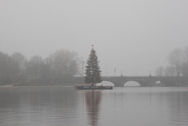 Christmas tree - free image