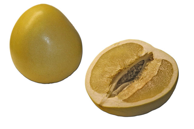 citrus pomelo - free image