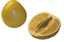 citrus pomelo