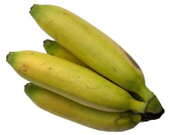 climacteric banana